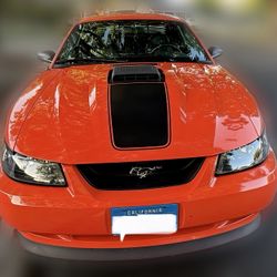 2004 Ford Mustang SHOOT OFFER