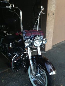 Harley custom audio barrels