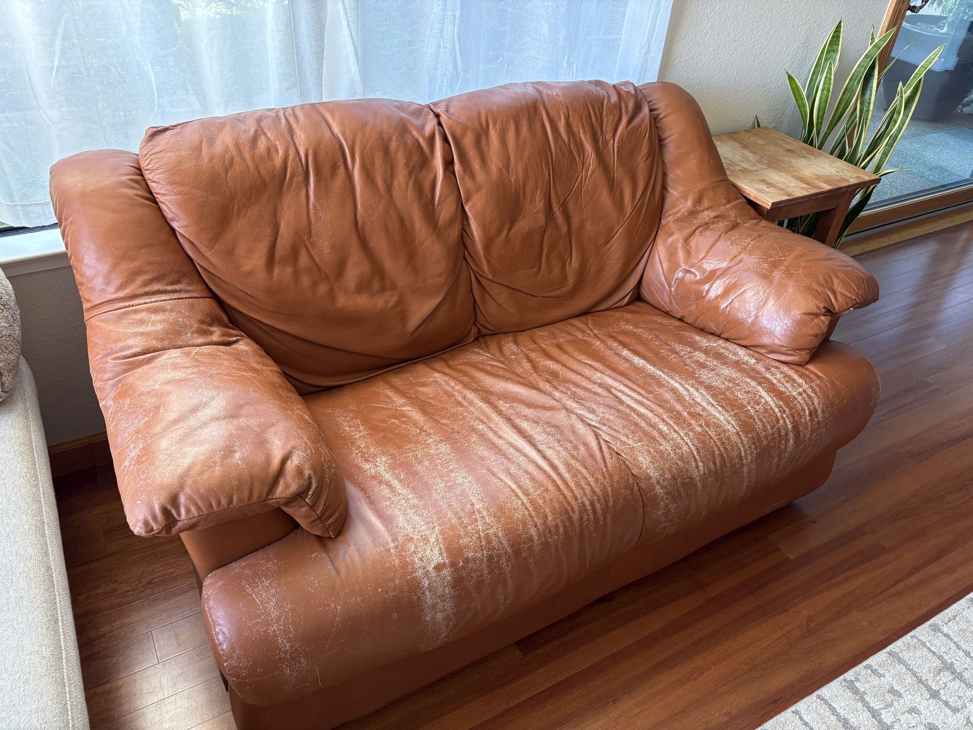 Free Macys Leather Couch