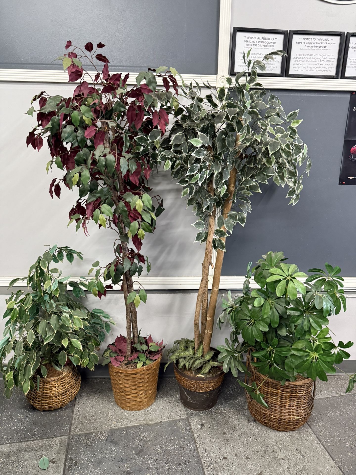 Faux (Fake) Plants Set