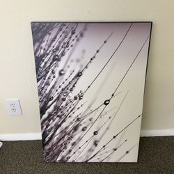 Print Canvas Picture 