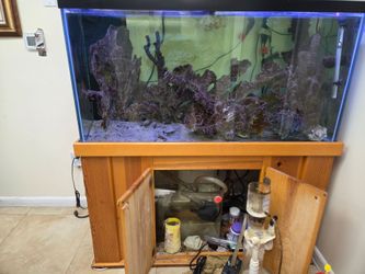 Aquarium