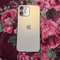 Unlocked iPhone 13 Pro Max $250