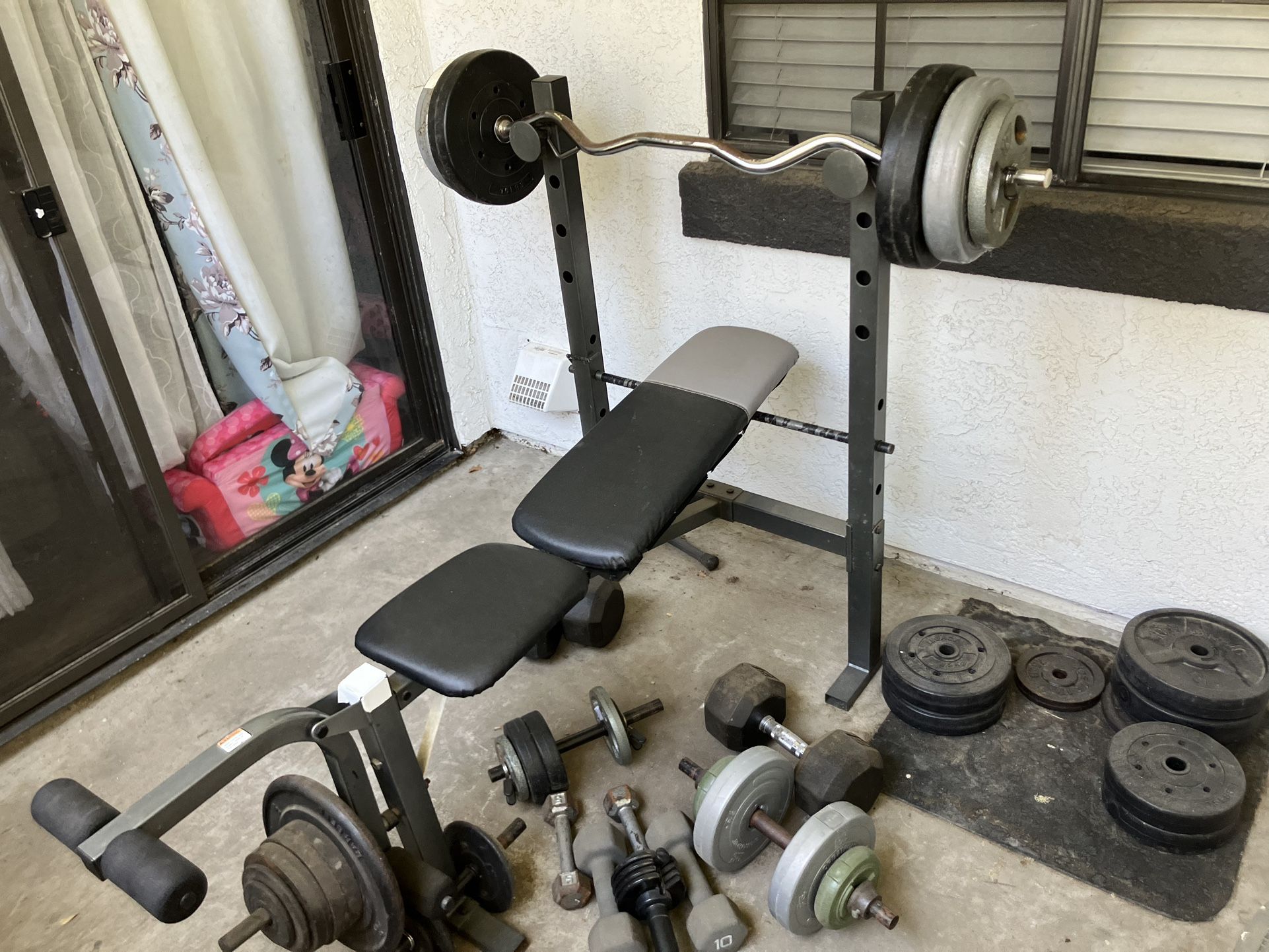 Complete Weight Set With Adjustable Bench