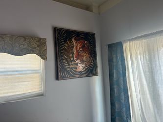 Wall pictures tiger and jaguar