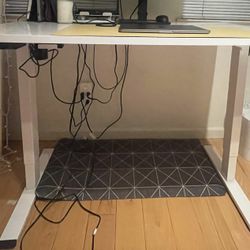 Standing Desk Flexispot