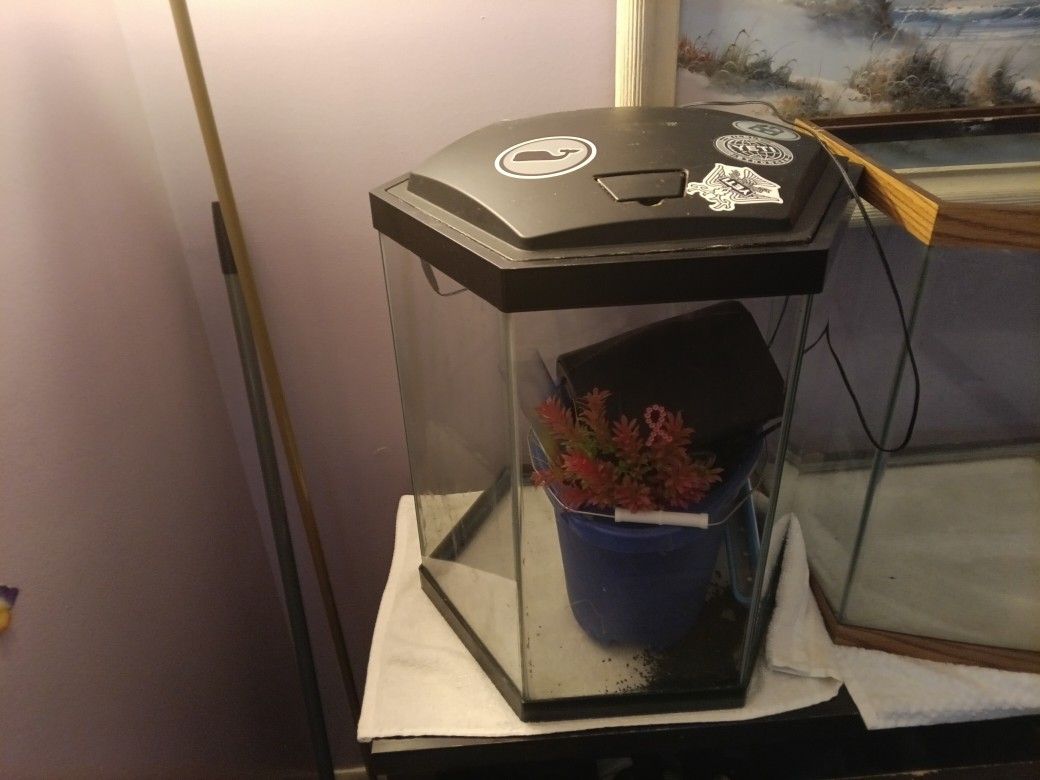 Fish Tank
