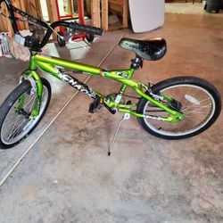 20" Bicycle