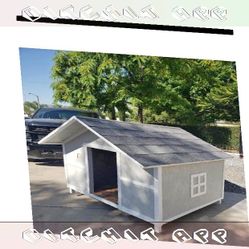 Outside Pet Houses - Strong Homes for Happy Animals difficult public
