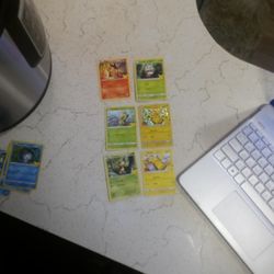  Pokemon