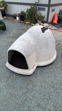 Dog house
