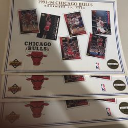 1993- 94 Chicago Bulls