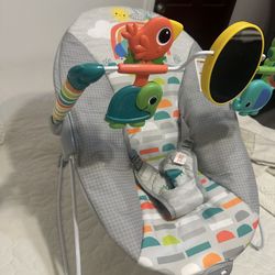 Baby Bouncer 