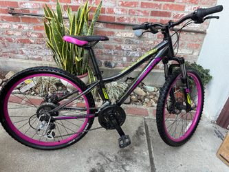 Giant 24” bike