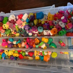 Shopkins Collection