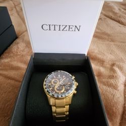 Citizen Watch Gold Trim