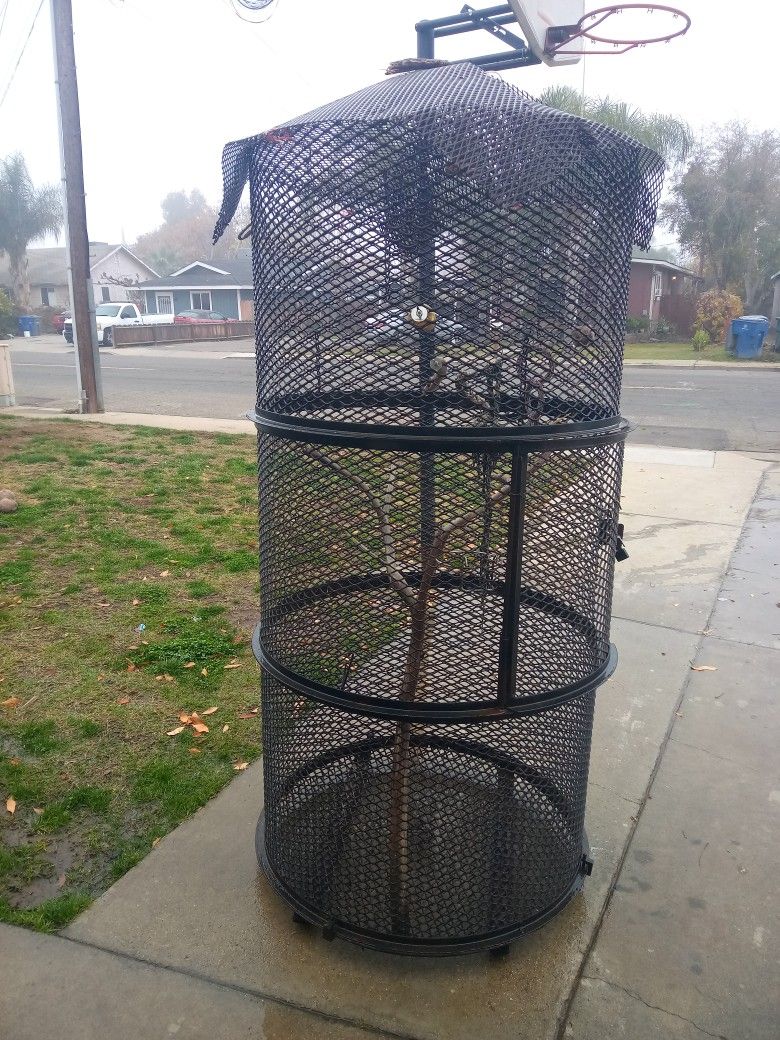 Bird Cage 