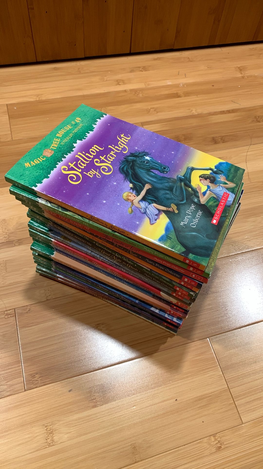 Magic Tree House Children Books