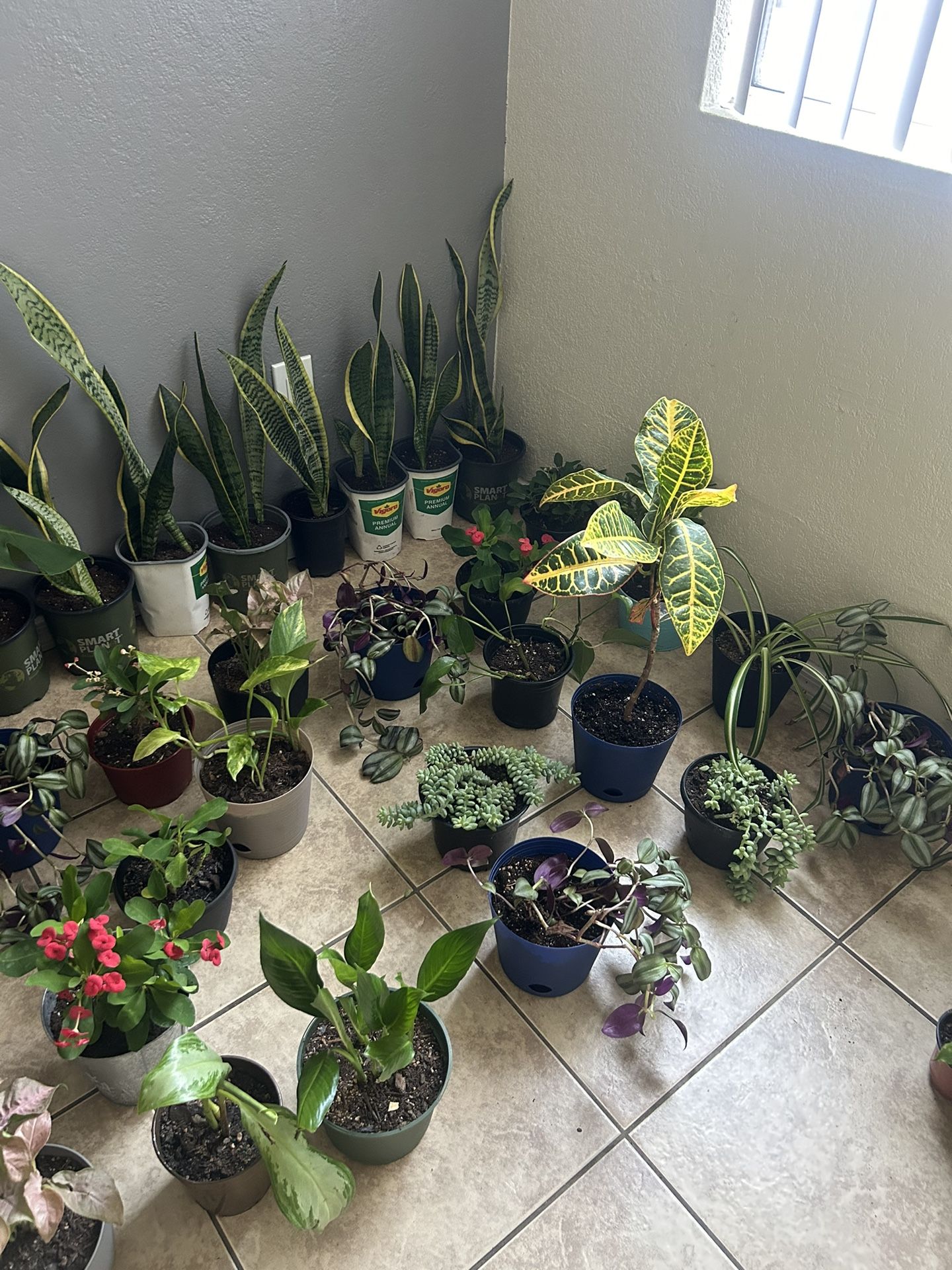 Plans For Sale 10 Each