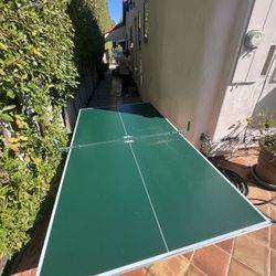 Ping Pong Table 