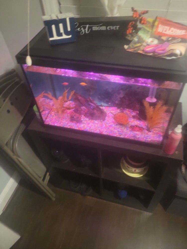 25 Gallon Fish Tank With Light And Filter 