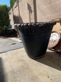 Clay pot