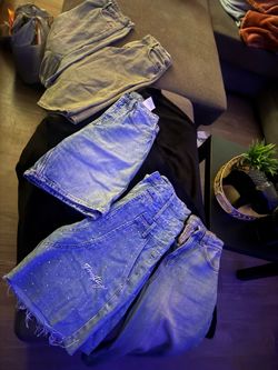 Men Jorts