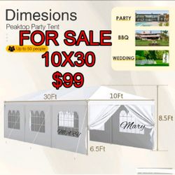 10'x30' Party Tent, Outdoor Wedding Canopy Tent with 5 windows