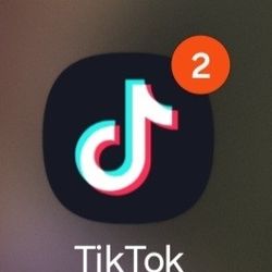 title My Phone Has Tictok For Sale