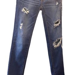American Eagle Womens Jeggings Size 0