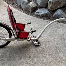 WeeHoo Kid Bike Carrier