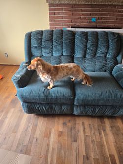 Free love seat
