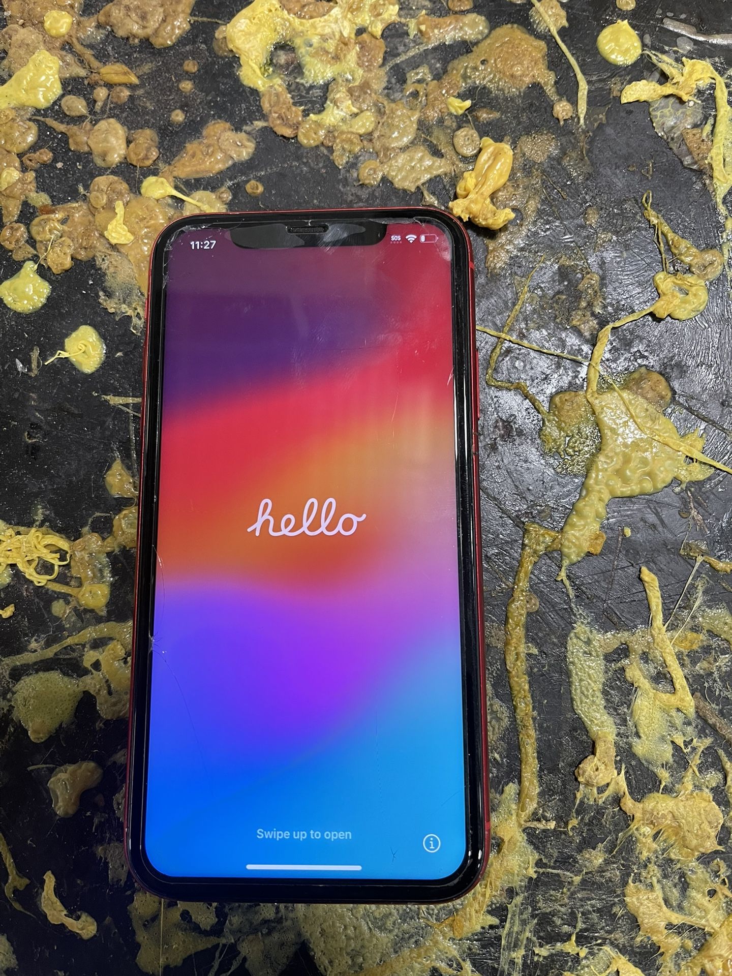 iPhone 11 