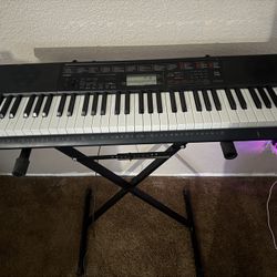 Casio LK-160 Keyboard and Stand 