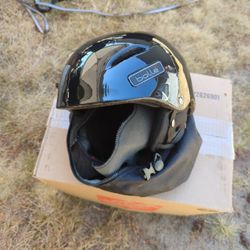 Snowboard/Ski Helmet