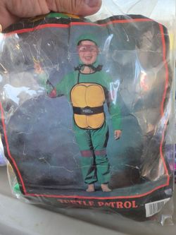 Nija turtle costume