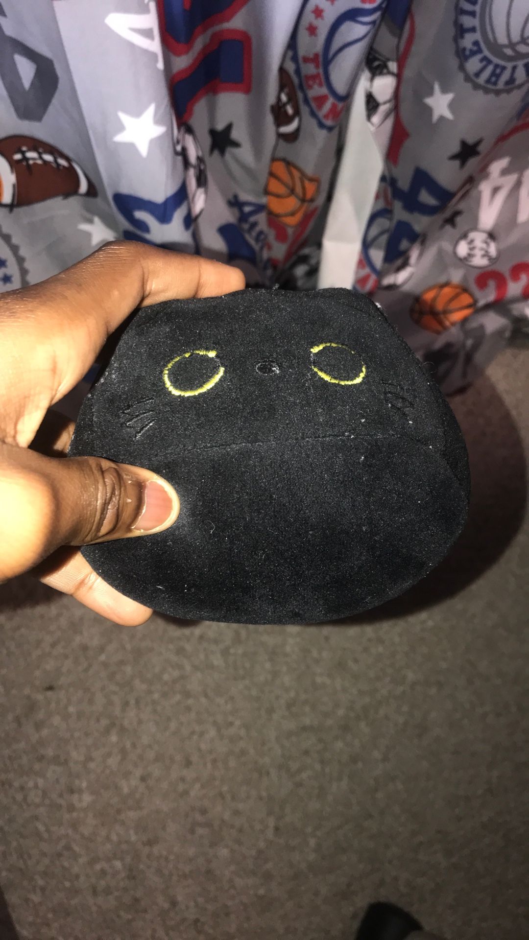 Black Plushie Cat