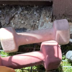 5lb Pink Weight Pair
