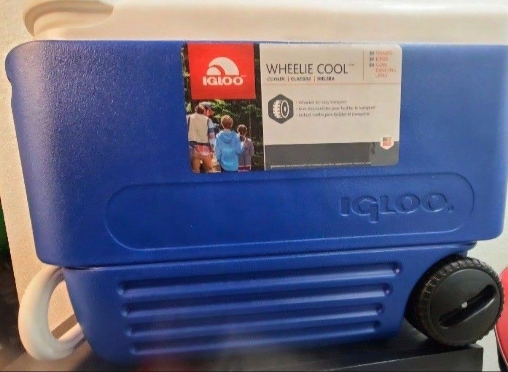 NEW IGLOO COOLER FOR SALE