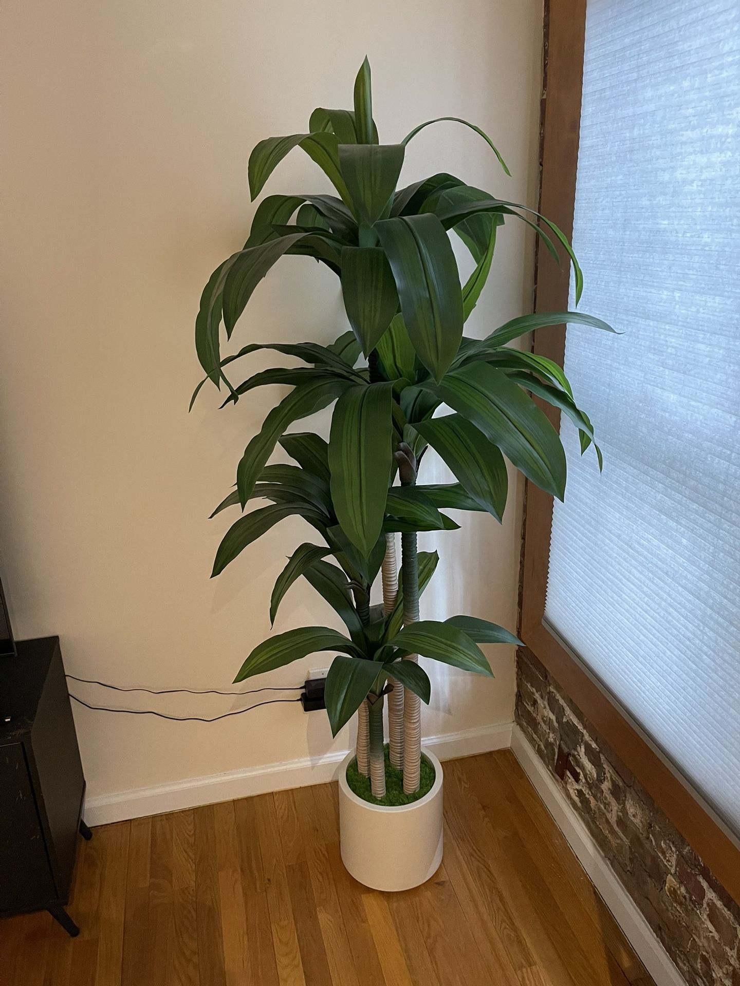 Fake Plant