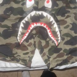 Bape Shorts
