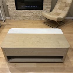 West ELM Center Table