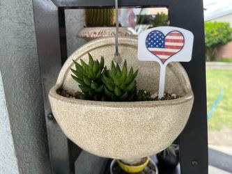 Succulent - Patriotic Wall Pocket 🇺🇸