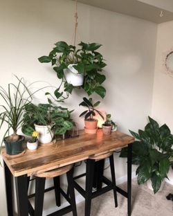 Brand NEW Breakfast Bar Urban Outfitters for Sale in Santa Ana