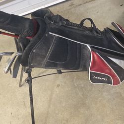 Vintage Tuf Horse Pga Golf Bag With Lynx 10 Clubs Limited Edition Of  10,000. for Sale in Alta Loma, CA - OfferUp