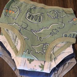 Potty training pants