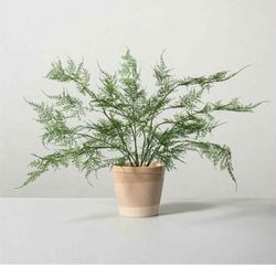 Hand Hearth Magnolia Faux Fern Potted Plant $3 each