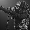 reggaeplyr