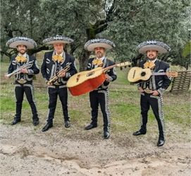 Guitarron mariachi trompeta