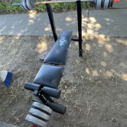 Weight Lifts Exercise 